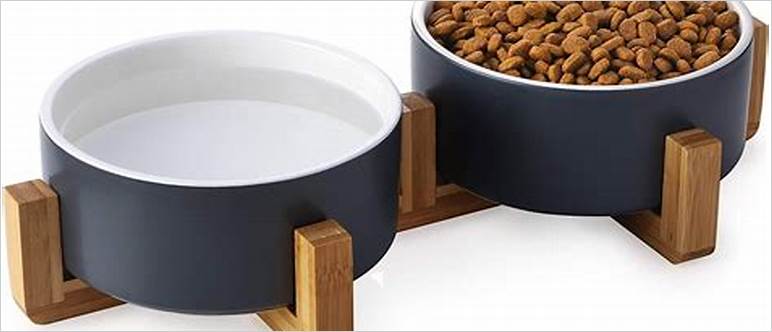 Modern dog bowl set